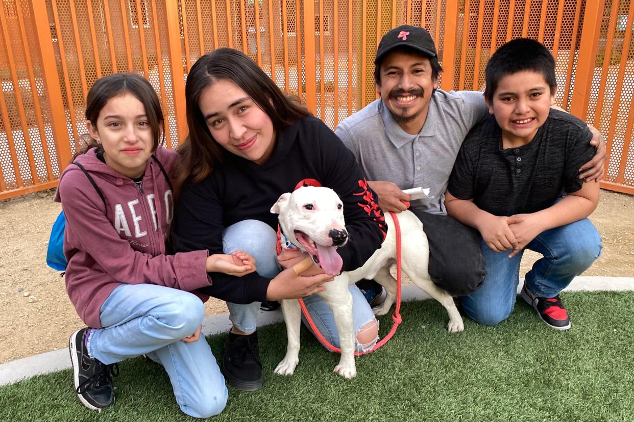 Ghost the Rescue Dog Reunites with Family After Living with a Coyote Pack in Nevada