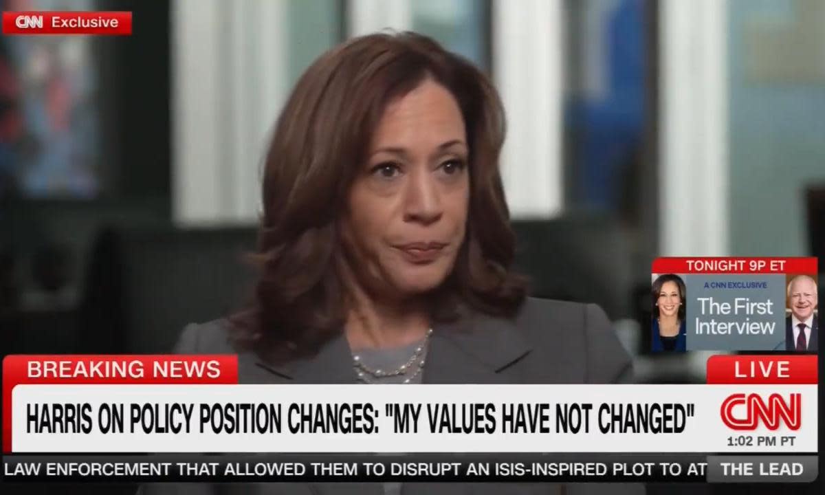 <span>Kamala Harris holds her first major interview as a presidential candidate on CNN. </span><span>Photograph: CNN exclusive</span>