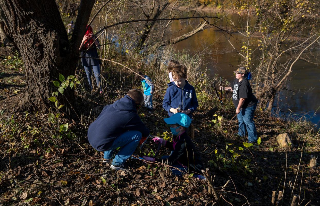 Scouts and others in a group of about 40 volunteers spent the morning spent cutting down Asian bush honeysuckle, an invasive species, along the White River in Noblesville, Saturday, Nov. 7, 2020. The removal by volunteers is part of a larger plan to get rid of invasive species and replant natives to help waterway restoration efforts. 