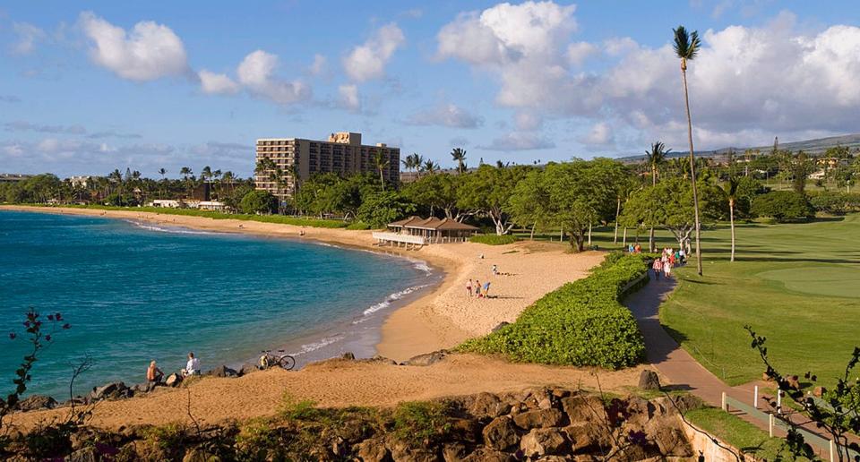 A man is dead after he was pulled from the water on the Hawaiian island of Maui with his leg severed following a shark attack.