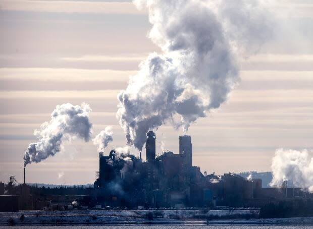 The Northern Pulp mill in Abercrombie Point, N.S., is viewed from Pictou, N.S., Friday, Dec. 13, 2019. It was forced to shut down a little more than a month later. (Andrew Vaughan/The Canadian Press - image credit)