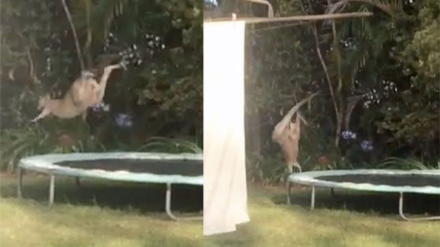 The marsupial can be seen bounding off of the trampoline. Photo: YouTube