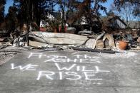 <p>These are the remains of the Tubbs Fire, which burned and destroyed parts of <span class="redactor-unlink">Napa</span>, <span class="redactor-unlink">Sonoma</span>, and <span class="redactor-unlink">Lake</span> counties in <span class="redactor-unlink">Northern California</span> in the fall. Twenty-two people died and 5,300 structures were reportedly destroyed.</p>