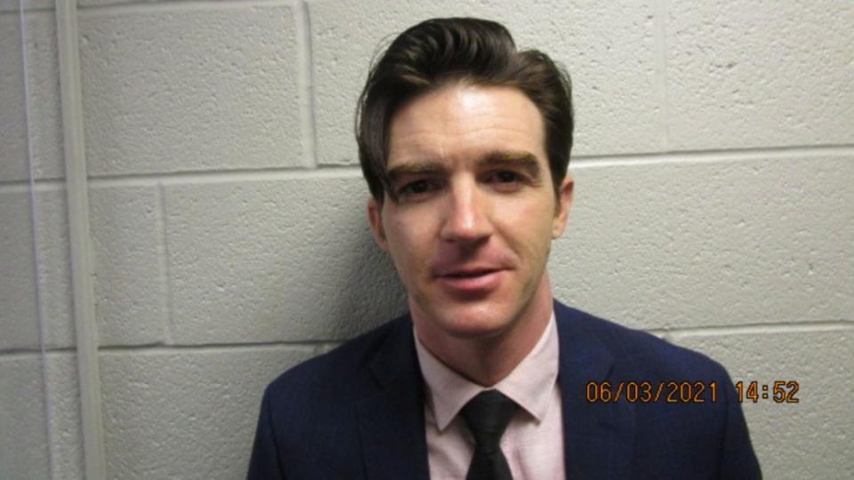 drake bell mug shot incident children arrested charged endangering