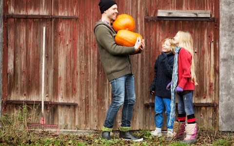 Pumpkins - Credit:  Digital Vision/ Zing Images