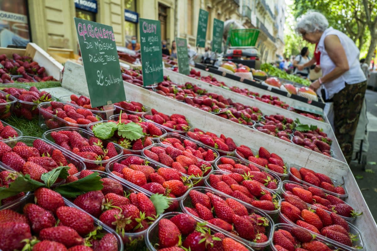 File photo: FDA says cases in California, Minnesota, and Canada report having purchased fresh organic strawberries prior to becoming ill (AFP via Getty)