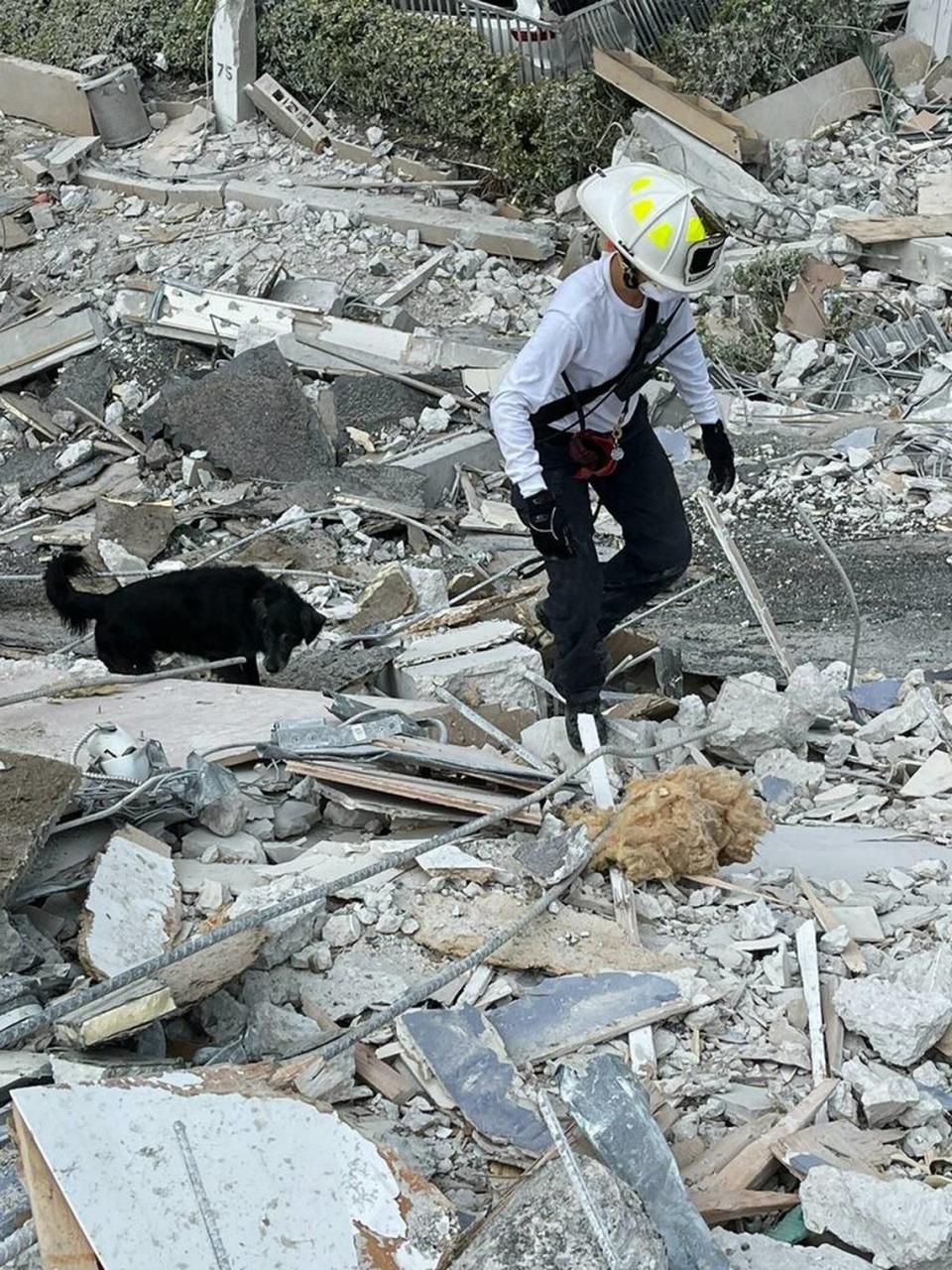 Nichole Notte, 40, and her dog, Dig, aid the search and rescue shifts at the Champlain Towers South condominium collapse.