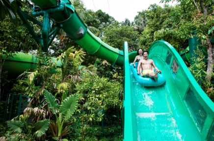 Making a splash! Ride the Riptide Rocket’s twists and turns through lush tropical gardens at Resorts World Sentosa