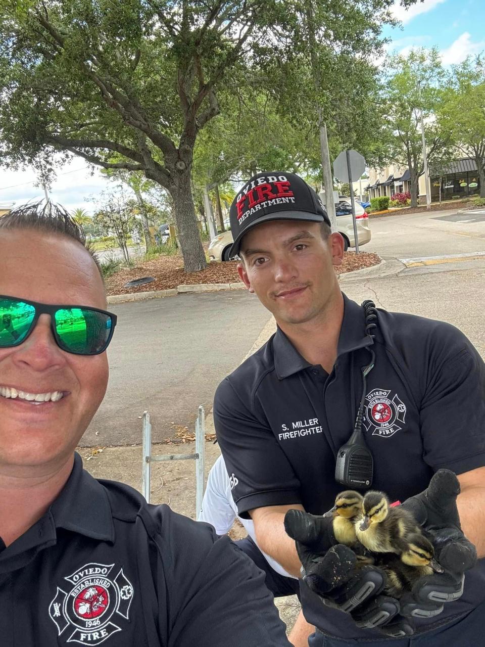 11 baby ducks were reunited with their mother on Saturday afternoon when Oviedo firefighters pulled them out of a storm drain.