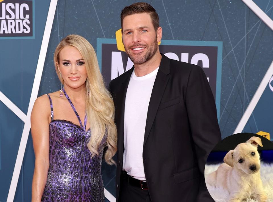 Carrie Underwood, Mike Fisher