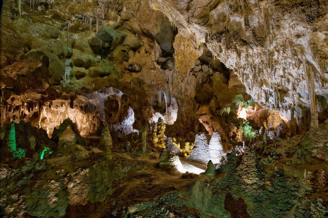 Carlsbad Caverns National Park in New Mexico