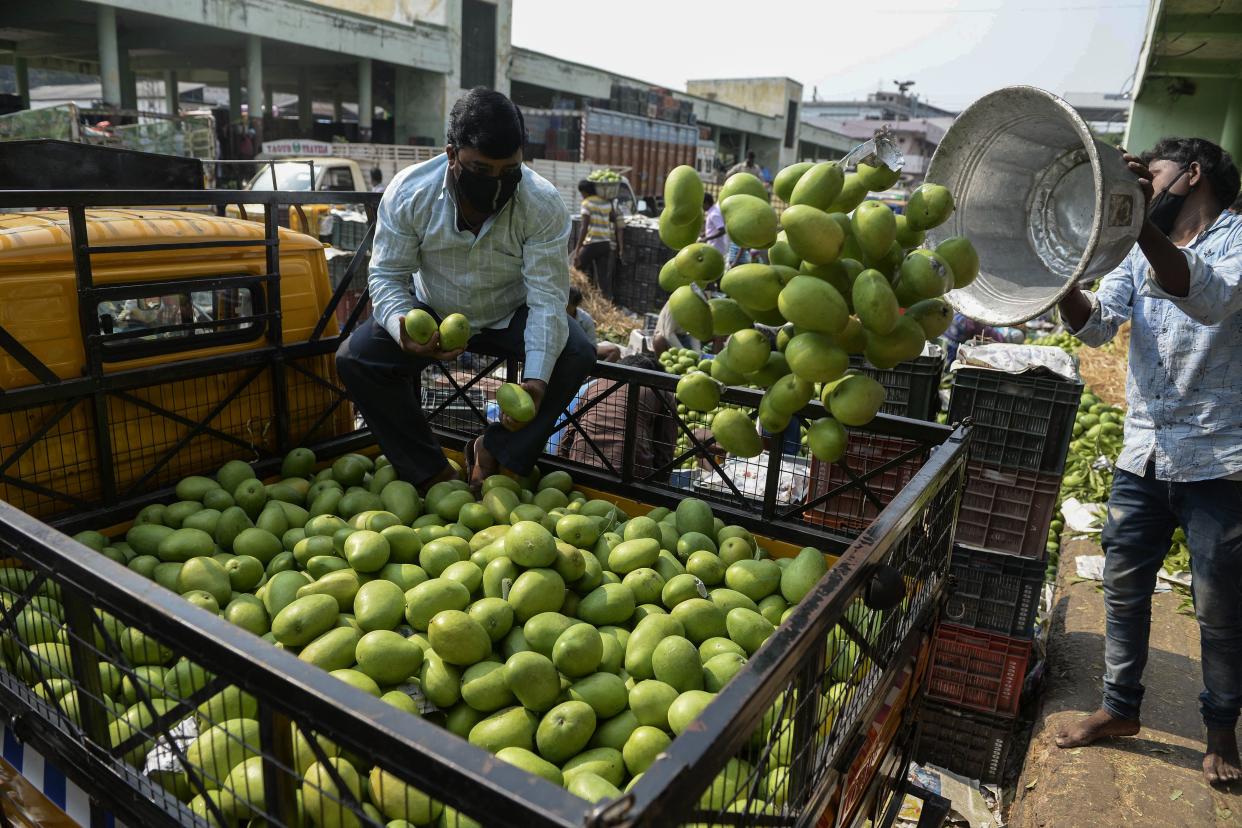 A labourer (R) loads raw mangoes in a truck at the Gaddiannaram fruit market during a government-imposed nationwide lockdown as a preventive measure against the COVID-19 coronavirus, on the outskirts of Hyderabad on April 16, 2020. (Photo by Noah SEELAM / AFP) (Photo by NOAH SEELAM/AFP via Getty Images)