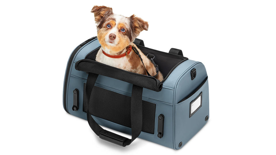 Away Pet Carrier