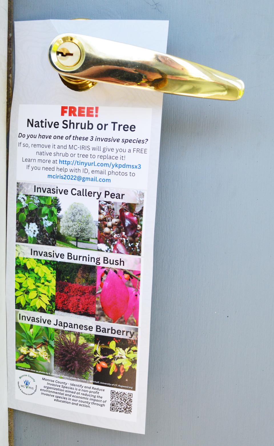 Door hangers giving information about how landowners in the county can receive a free native shrub or tree will be left on Monroe County homes as part of a project by MC-IRIS (Monroe County - Identify and Reduce Invasive Species) to eradicate three invasive plant species.