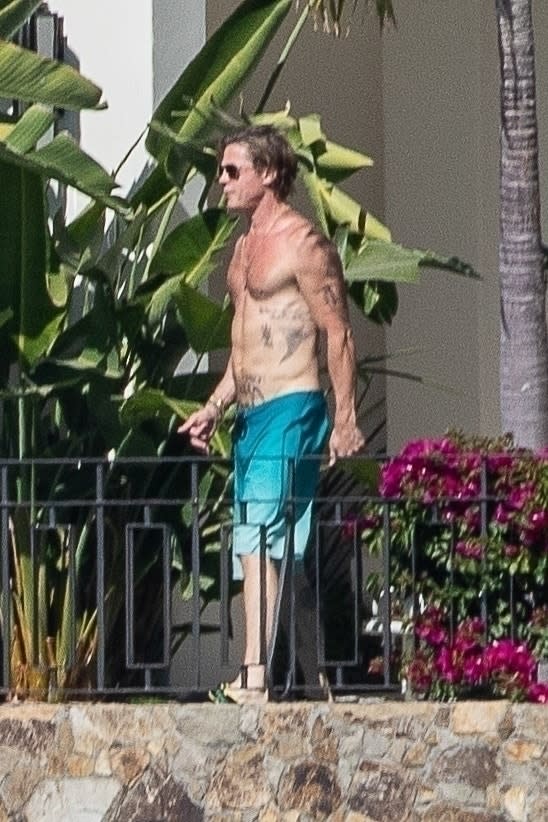 Brad Pitt Sunbathes With Topless Girlfriend Ines De Ramon In Mexico