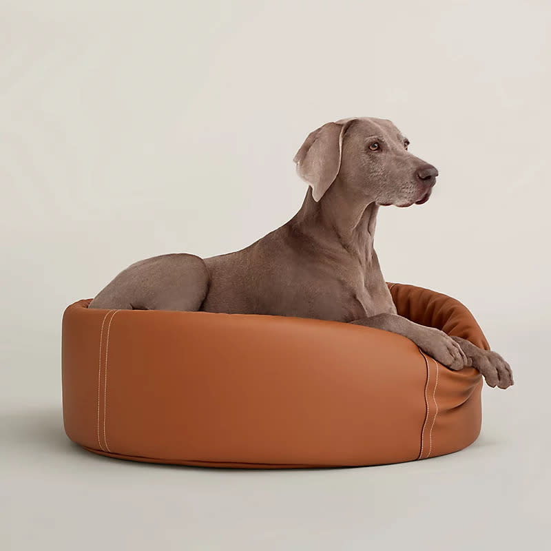 The Hermes Patapouf dog bed costs $5,450. Other dog accessories are similar pricy — the dog raincoat costs $1,150 and the dog harness costs $2,000.