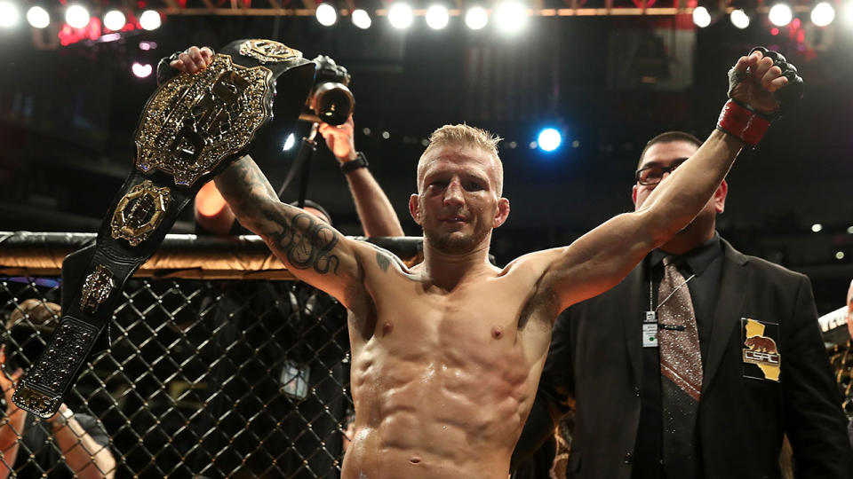 Dillashaw is being touted as the greatest bantamweight in UFC history. Pic: Getty