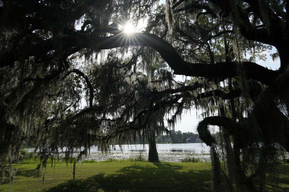 The sun shines through tree branches covered with Spanish moss, on the lakefront family property of third-generation town resident NY Nathiri in Eatonville, Fla., Wednesday, Aug. 23, 2023. In Florida, one of the first incorporated self-governing Black municipalities in the United States was Eatonville, established in 1887. Located just 24 miles (39 kilometers) north of Disney World, the key challenge for present-day residents is the Orange County Public School Board, which owns 100 acres (40 hectares) of property in the middle of town. (AP Photo/Rebecca Blackwell)