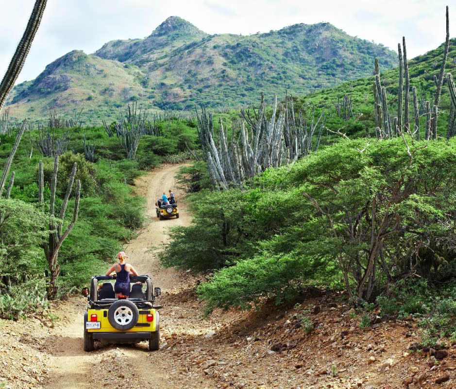 Washington Slagbaii National Park<p>Courtesy of Bonaire Tourism</p>