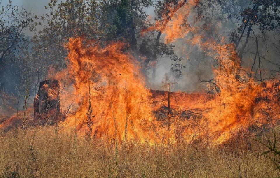 The Oak Fire burns vegetation in an area east of Mariposa on Saturday, July 23, 2022.