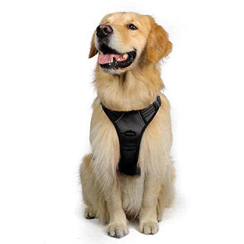 Rabbitgoo No-Pull Pet Harness