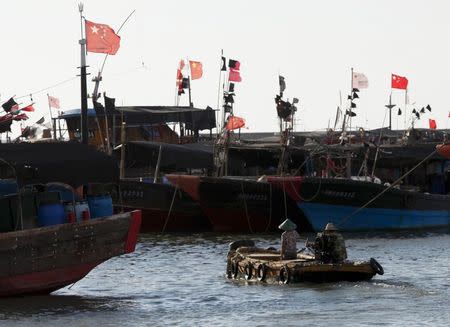 China seeks bigger catch from far-sea fishing fleet