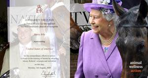 Marty Irby with Tennessee Walking Horse 'The Lion King' (Left)
Her Majesty, Queen Elizabeth, II (Right)
Photo Credit: Craig Swanson Design