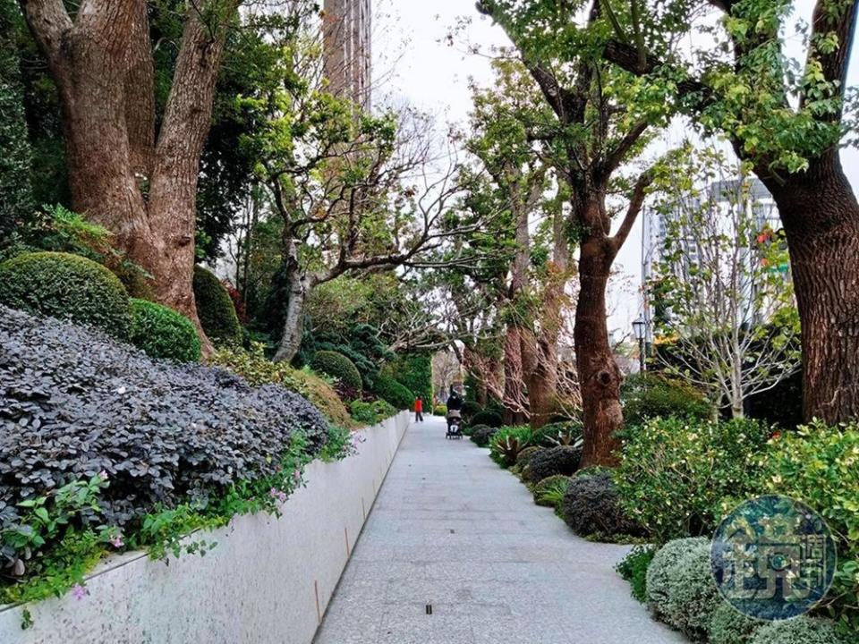 社區外人行道植栽具有層次感，如同綠色隧道。