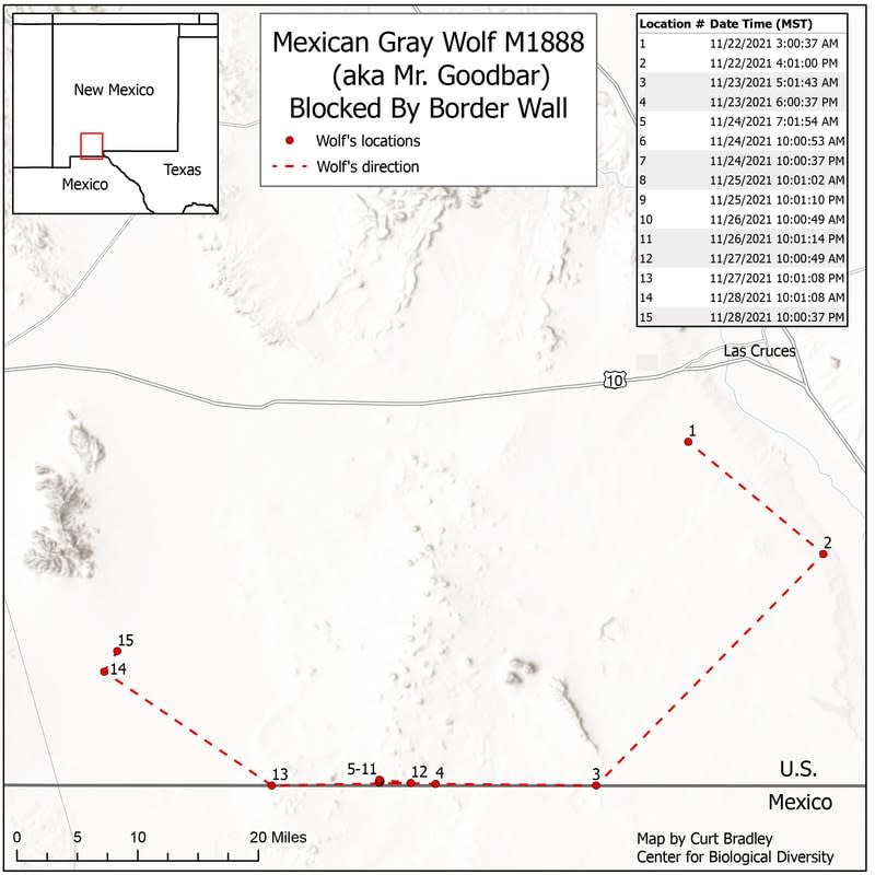 Un mapa que muestra el recorrido de Mr. Goodbar en su intento por cruzar la frontera hacia México. (Curt Bradley / Centro para la Diversidad Biológica)