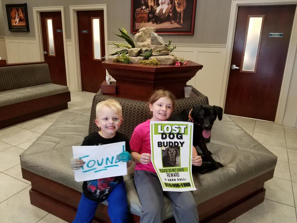After a long search involving drones, the Wag dog walking app service, the town mayor, and more drama, Buddy (sitting next to one of his missing posters) was finally found. (Photo:<a href="https://www.facebook.com/maryellen.humphrey.71" rel="nofollow noopener" target="_blank" data-ylk="slk:MaryEllen Humphrey via Facebook);elm:context_link;itc:0;sec:content-canvas" class="link ">MaryEllen Humphrey via Facebook)</a>
