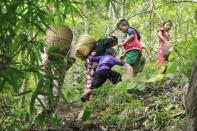 People displaced by fighting in eastern Myanmar climb through forest in Kayah State