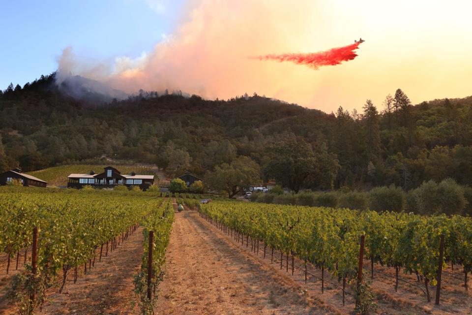 the glass fire california napa valley wildfires