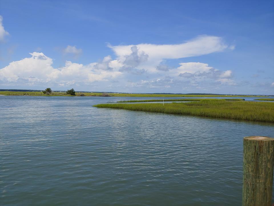 north carolina bay