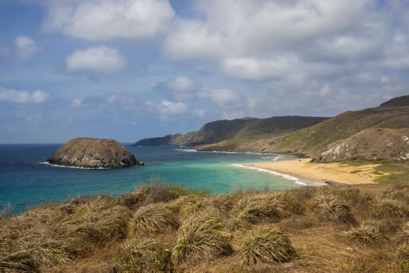 Hero British man saves tourist after tiger shark attack