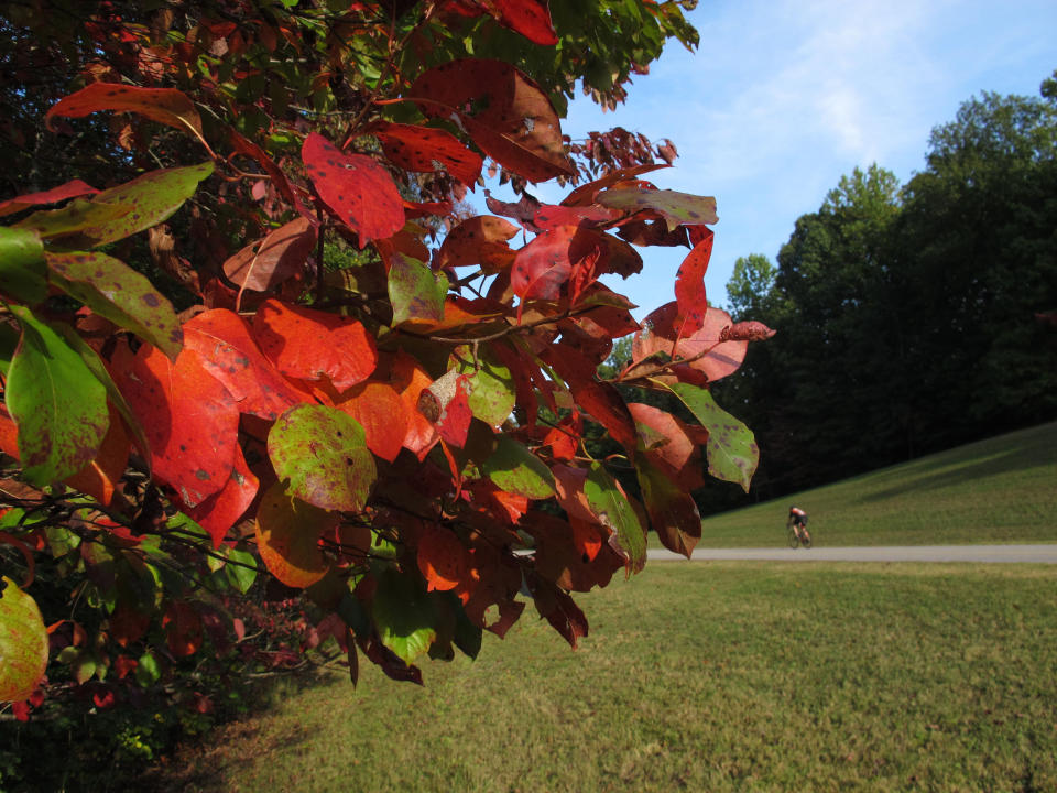 The trees are beginning to change color on Saturday, Sept. 29, 2012, on Natchez Trace Parkway in Williamson County, Tenn. The fall foliage season is expected to be colorful in much of the Southeast. (AP Photo/Teresa Wasson)