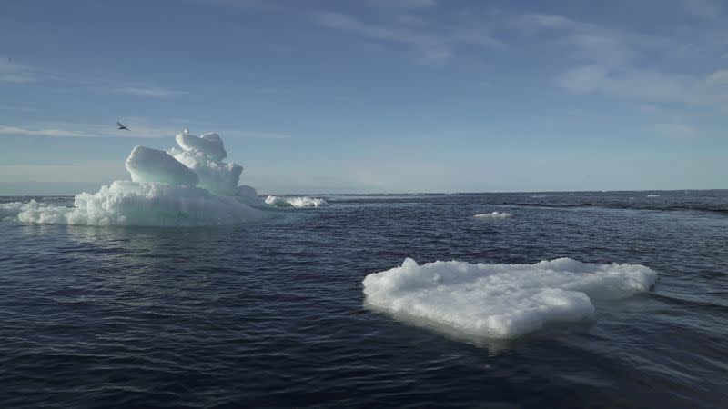 FILE PHOTO: Floating ice is seen during the expedition of the The Greenpeace's Arctic Sunrise ship at the Arctic Ocean