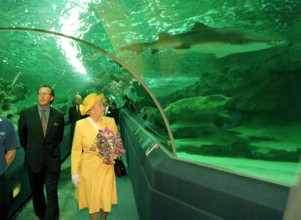 <p>The Queen and the Duke of Edinburgh are confronted by a shark as they walk through the observation tunnel at the Blue Planet Aquarium in Cheshire. (PA) </p>