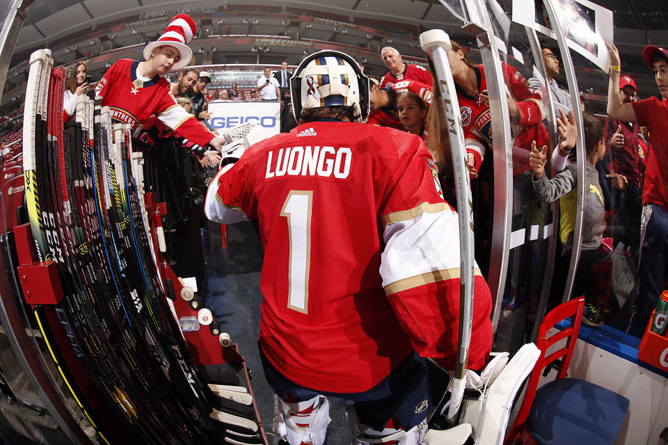 Roberto Luongo will work with Florida Panthers GM, Dale Tallon. (Photo by Eliot J. Schechter/NHLI via Getty Images) 