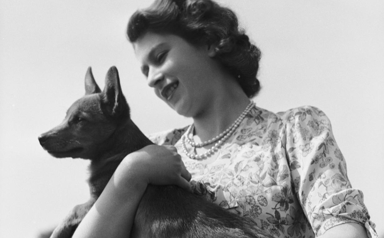 Princess Elizabeth with her pet corgi Sue at Windsor Castle, May 1944 - Lisa Sheridan 