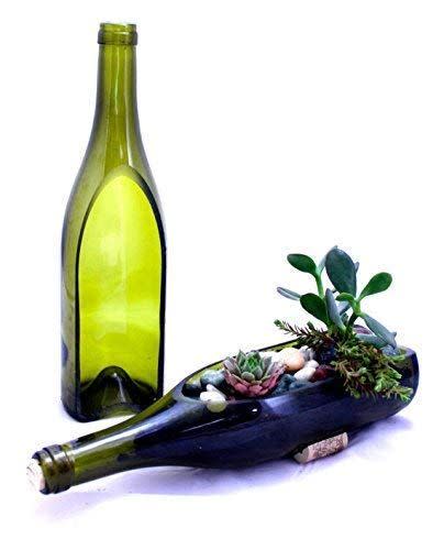 35) Wine Bottle Succulent Planter