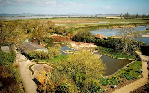 Slimbridge Wetland Centre is famed for its bird hides - Credit: Getty