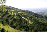 <p>The house rests on a hill and offers stunning views of the Bormida valley and hills surrounding Roccaverano. (Airbnb) </p>
