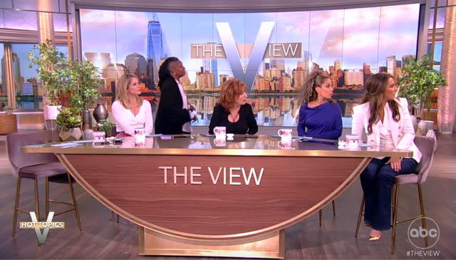 <p>ABC</p> Whoopi Goldberg scolds 'The View' audience member for recording during broadcast