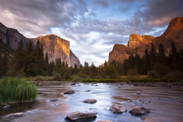 <p>Andy Kennelly/Getty Images</p>