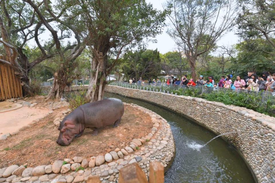 新竹市立動物園第300萬人次入園遊客誕生！市府表示，來自竹北市的陳先生，十九日帶太太、女兒至動物園遊園，幸運成為第三百萬入園幸運兒。(圖由新竹市政府提供)