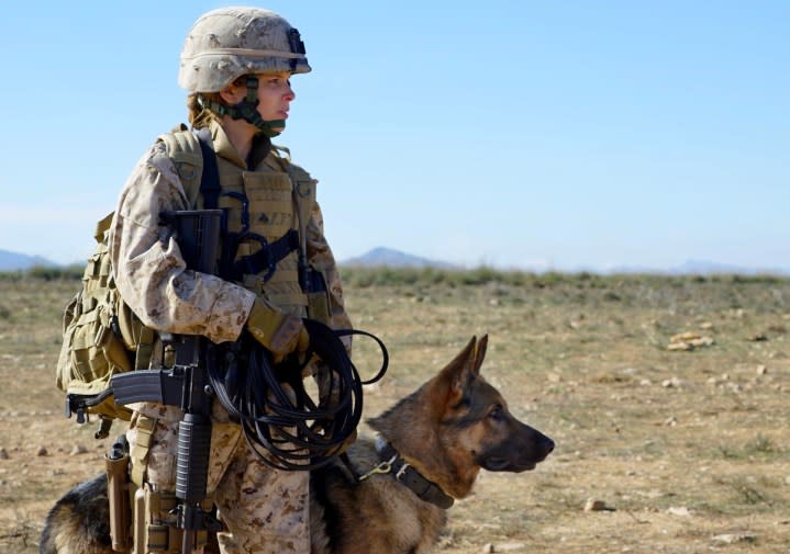 A soldier holds a dog as they stand and stare.