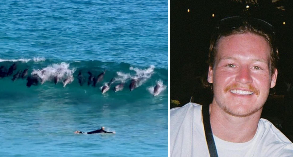 Videographer Elliot Staddon was 'over the moon' when he caught the 'rare' footage of so many dolphins surfing a wave near Moses Rock in WA. Source: Supplied/shotsbystads