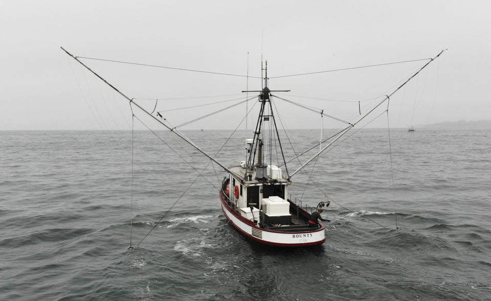 In this photo taken July 17, 2019, Sarah Bates fishes for chinook salmon on her boat Bounty off the coast of Bolinas, Calif. California fishermen are reporting one of the best salmon fishing seasons in more than a decade, thanks to heavy rain and snow that ended the state's historic drought. It's a sharp reversal for chinook salmon, also known as king salmon, an iconic fish that helps sustain many Pacific Coast fishing communities. (AP Photo/Terry Chea)