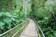 <p>At Akaka Falls in Akaka Falls State Park, located along the northeastern Hamakua Coast, on Hawaii Island, you can see two gorgeous waterfalls on one short hike. Akaka Falls is perhaps the Big Island’s most famous waterfall. (Photo: Lana Canada/iStockphoto/Getty Images) </p>