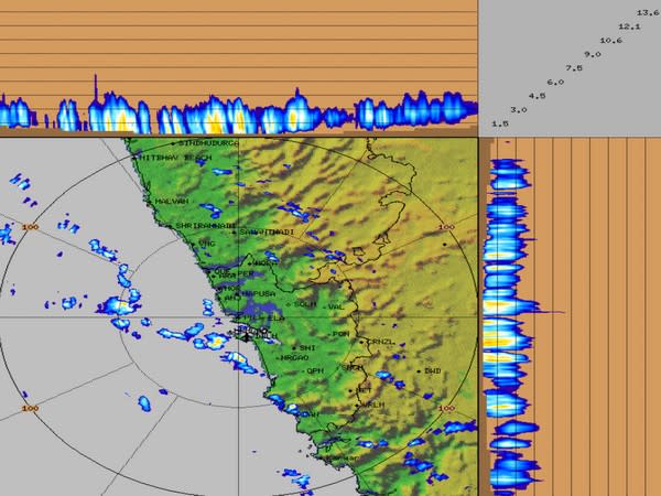 Visual representation of rains in Goa (Photo/Twitter)